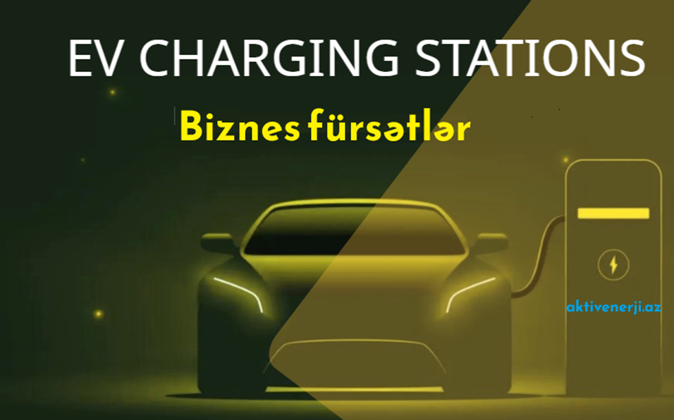 elektrikli avtomobil biznes ideyalar
